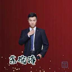 苏婉清